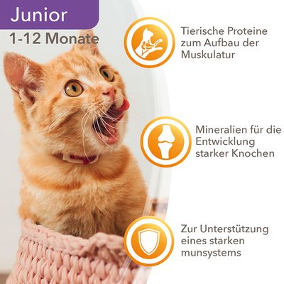 IAMS Delights Kitten Huhn in Sauce
