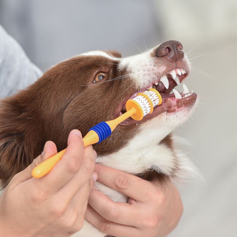 Arm & Hammer Zahnpflege-Set aus Zahnbürste und Zahnpasta zu TOP-Preisen