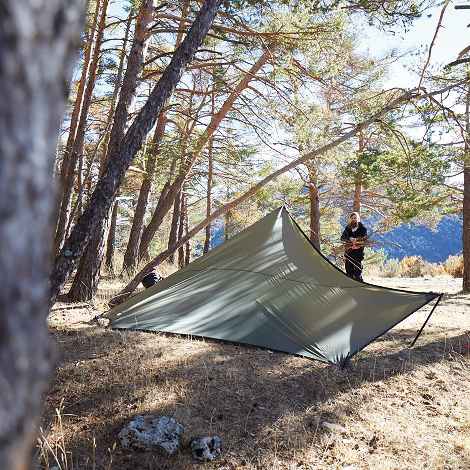 Tarp Zuni Ray