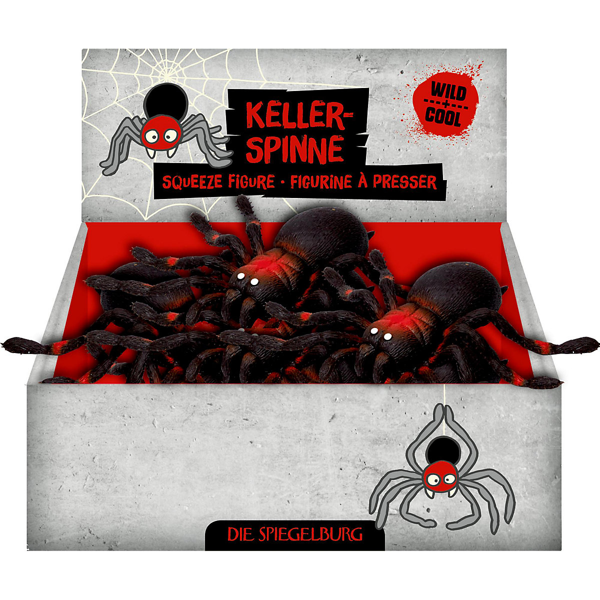 Kellerspinne - Wild+Cool