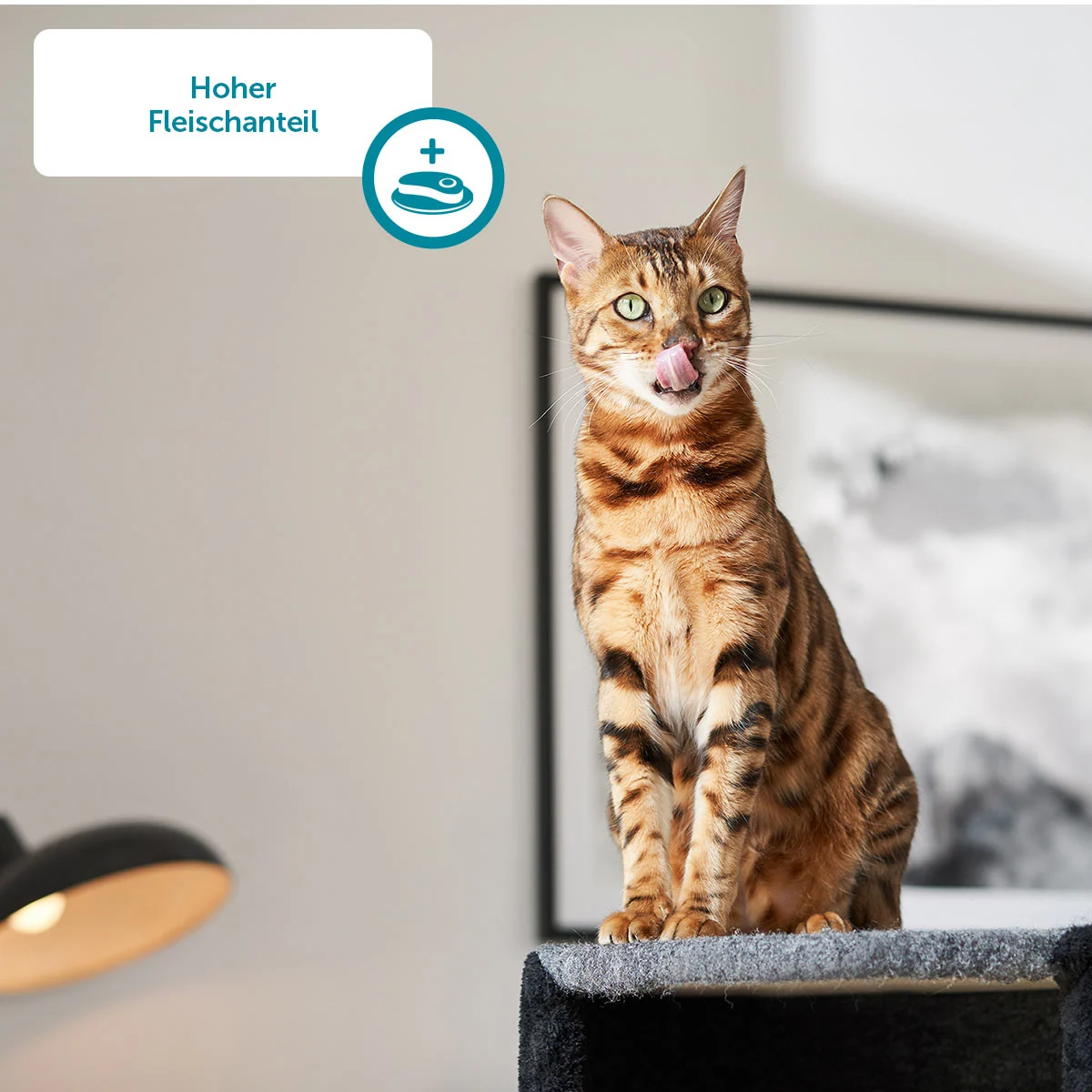 ZooRoyal Katzen-Grillies mit Leberwurst kaufen
