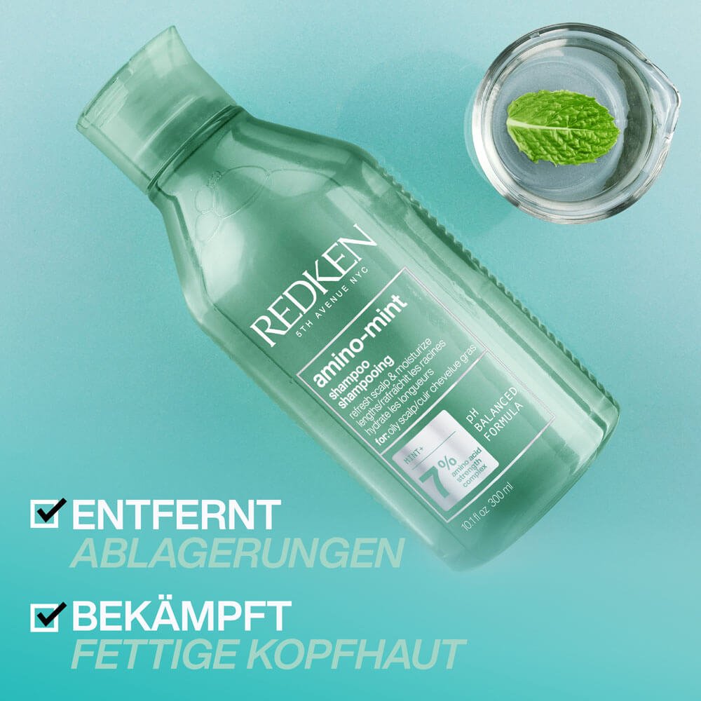 Redken Scalp Relief Amino-Mint Shampoo