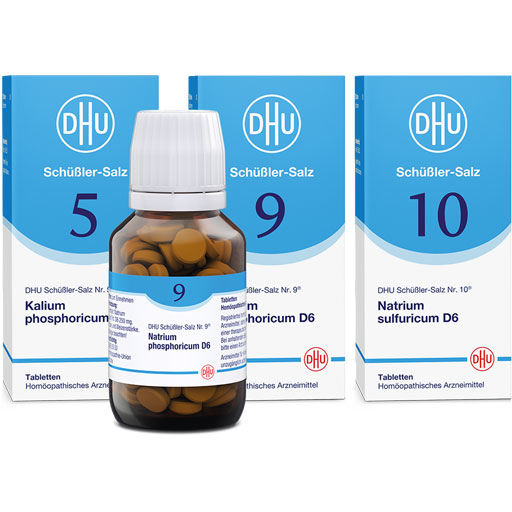 DHU Schüßler-Salze Frühjahrs-Kur  3X80 St  Tabletten