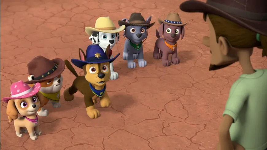 Paw Patrol: Sommer Einsatz