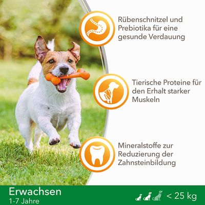 IAMS for Vitality Dog Adult Small & Medium Huhn