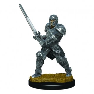 D&D Icons of the Realms Premium Figures: Male Human Fighter