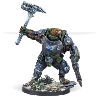 Polaris Team Beast Pack