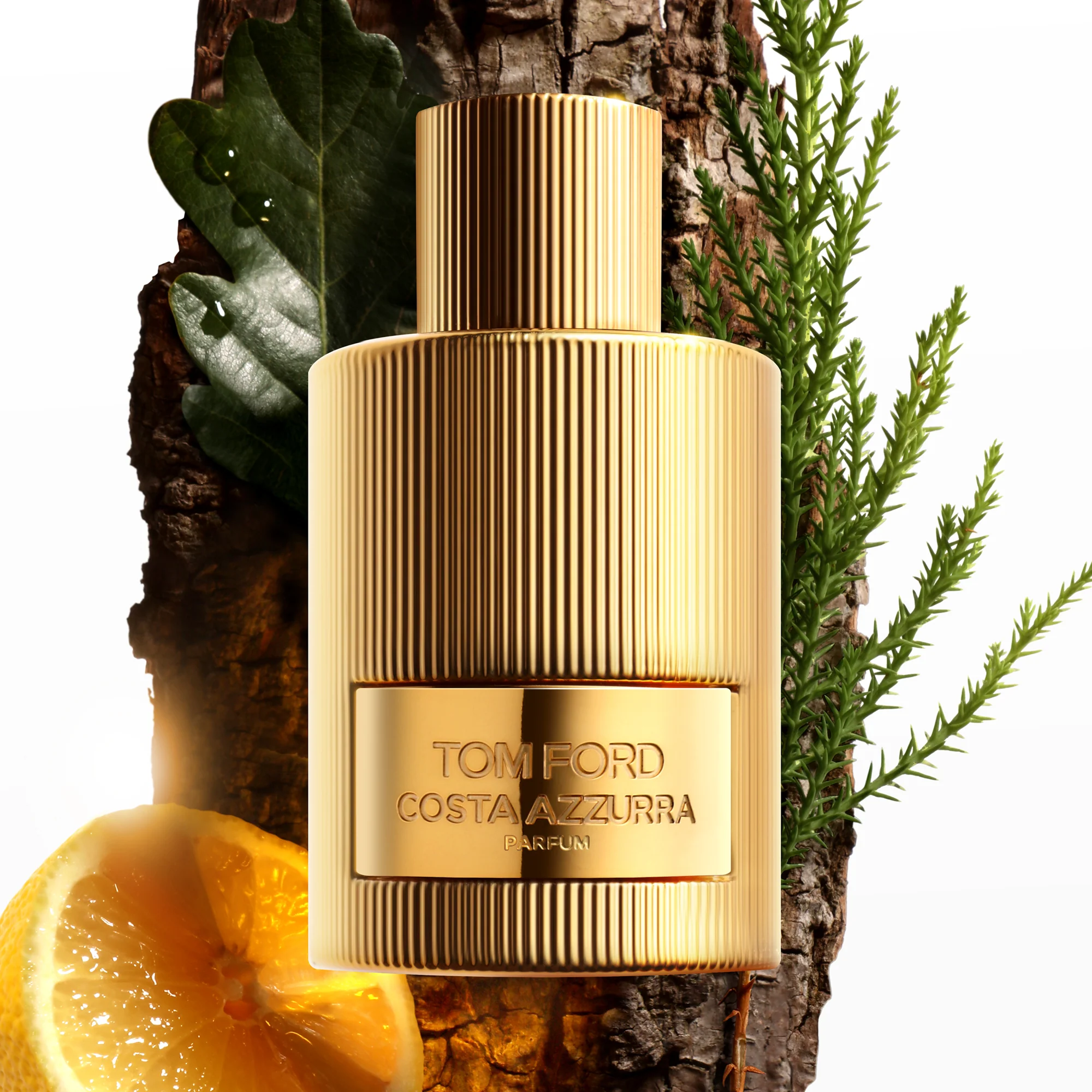 Signature Costa Azzurra Parfum - moška dišava, parfum, dišava za uniseks