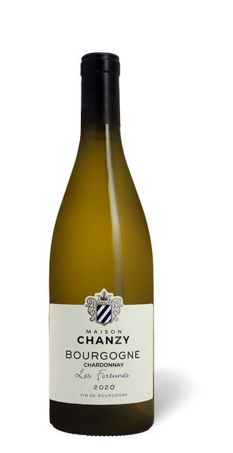 Bourgogne Domaine Chanzy Chardonnay 
