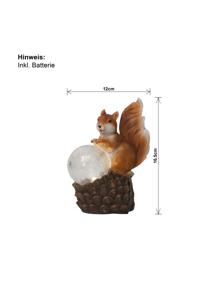 STAR Trading LED Solar-Figur Squirrel, Eichhörnchen günstig kaufen onesize