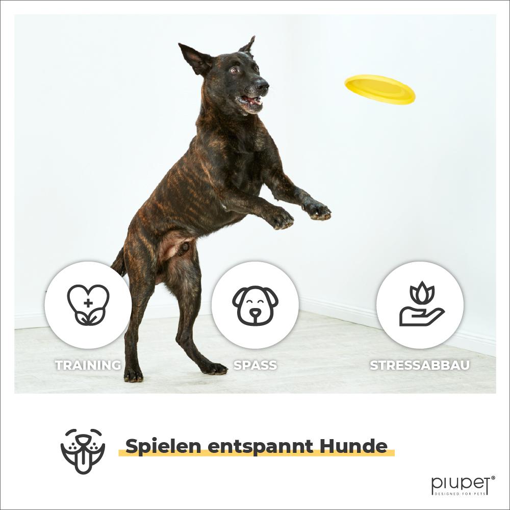 PIUPET Frisbees & Wurfspielzeug PIUPET Frisbee-Set