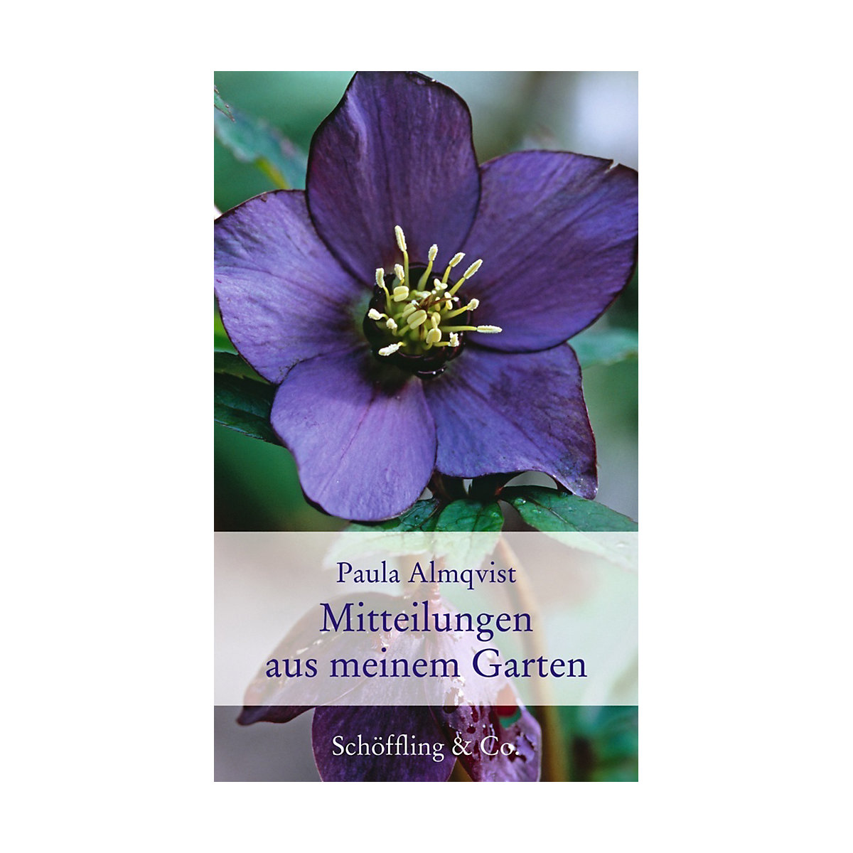 Mitteilungen aus meinem Garten