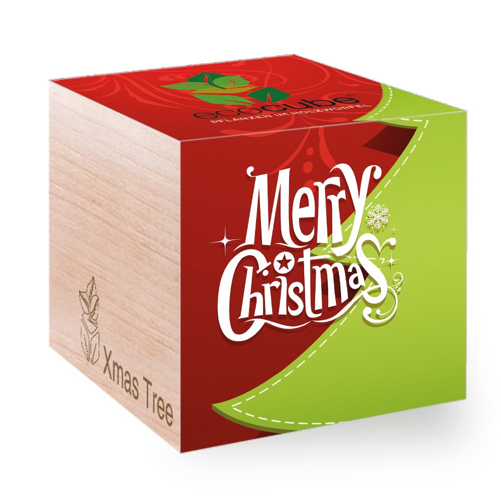 Feel Green Blumenerde Ecocube Weihnachtsbaum Merry Christmas, Nachhaltige Geschenkidee, (1-St)
