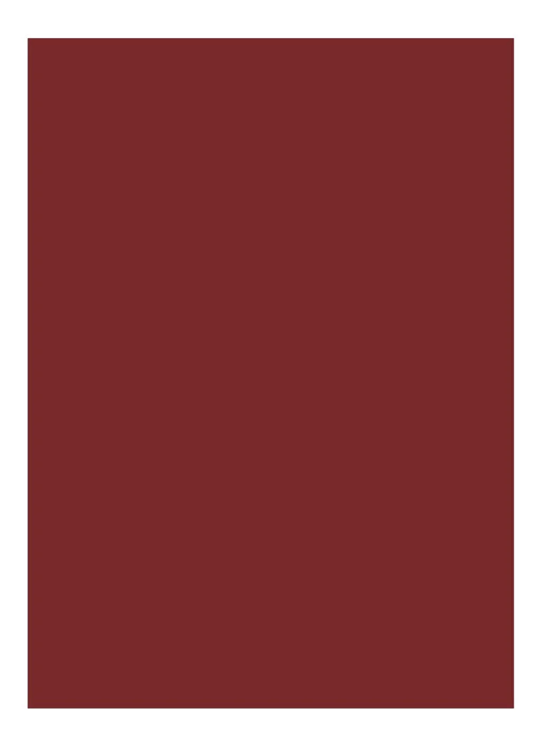 Bobbi Brown Luxe -huulipuna