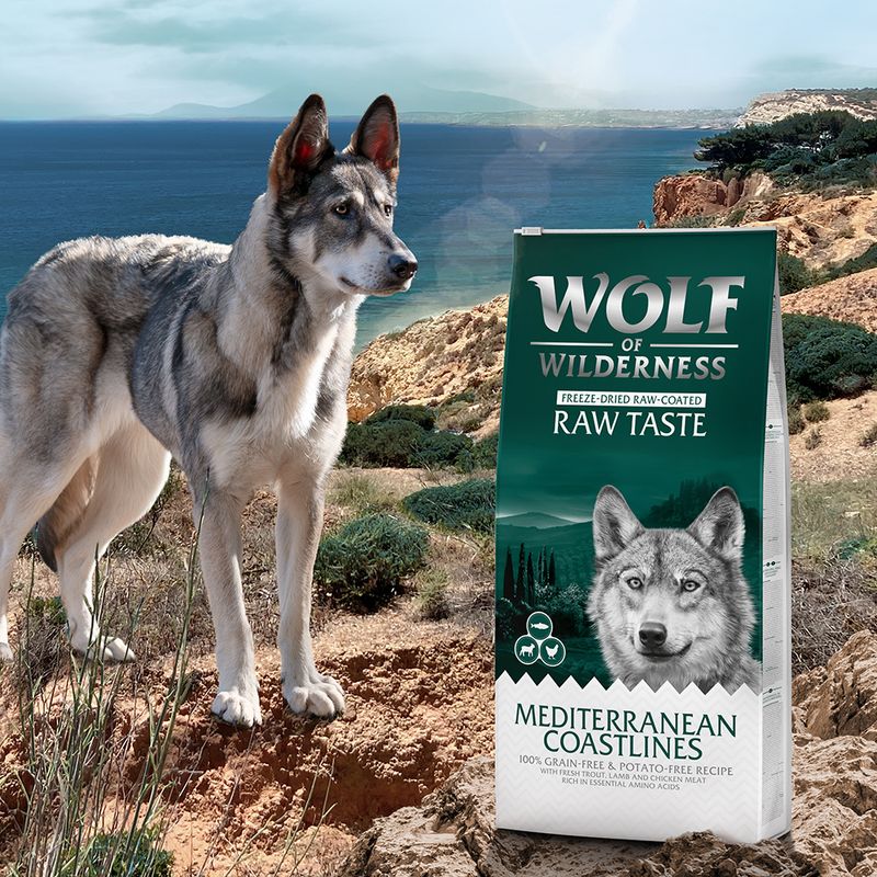 Sparpaket Wolf of Wilderness 'RAW TASTE' 2 x 12 kg