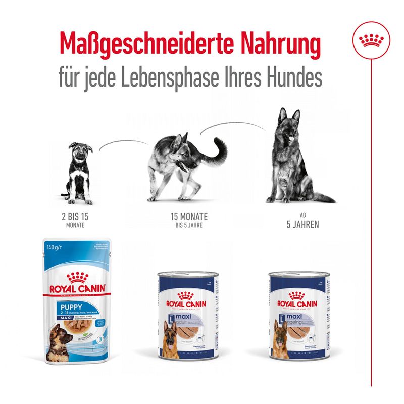 Royal Canin Maxi Adult Mousse zu TOP-Preisen