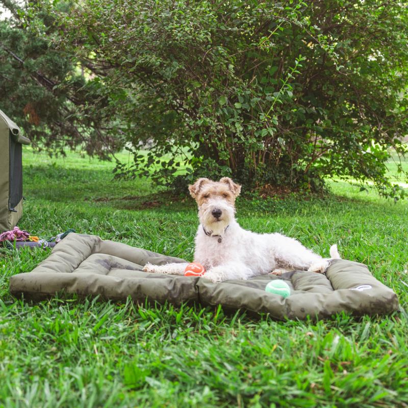 Nomad Tales Spirit Outdoor Hundekissen Pine