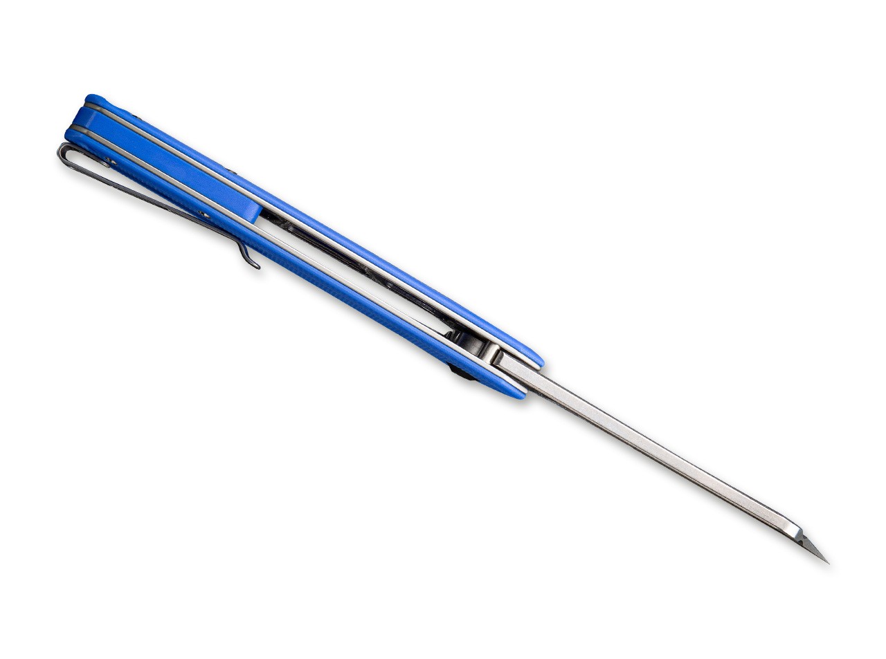 Bullmastiff G10 Blue