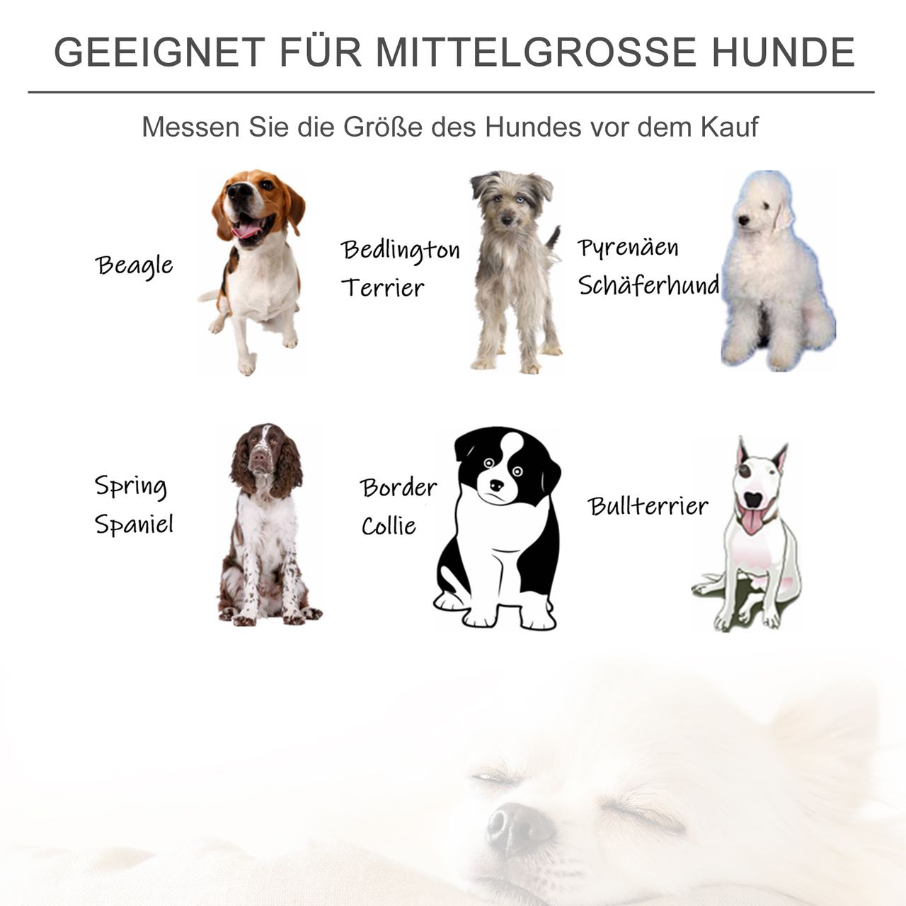 PawHut Katzensofa Haustiersofa Hundesofa Samt moderne Hellgrau