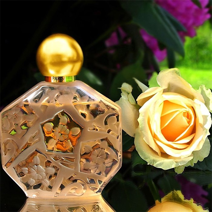 Eau de Toilette Spray