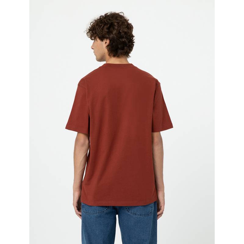 Dickies Park T-Shirt Herren