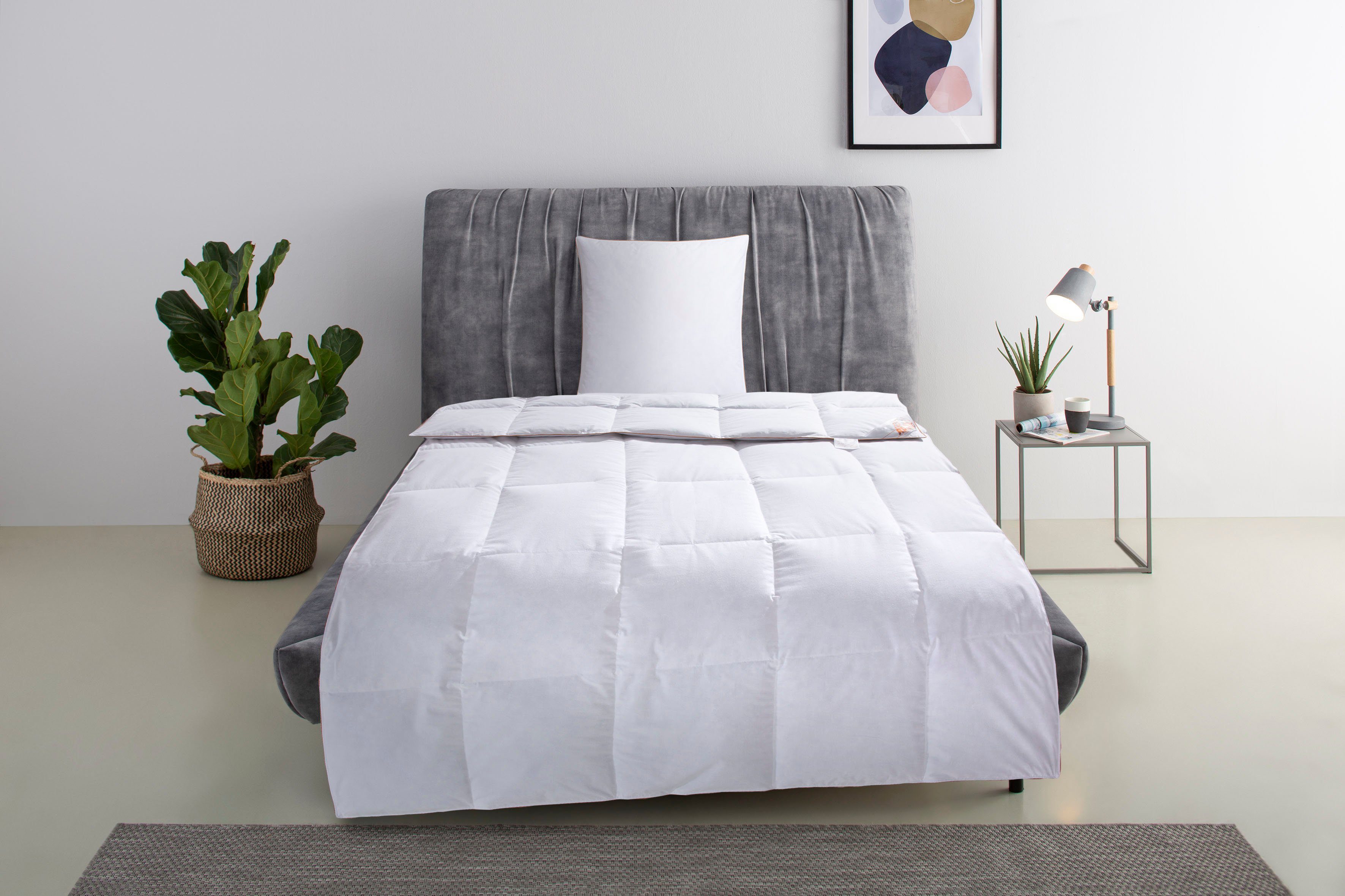 Daunenbettdecke + Kopfkissen, Richard, Bettwaren-Set in 135x200 oder 155x220 cm, Sommer oder Winter, RIBECO, Füllung: Daunen & Federn, Seit 105 Jahren überzeugt RIBECO durch Qualität