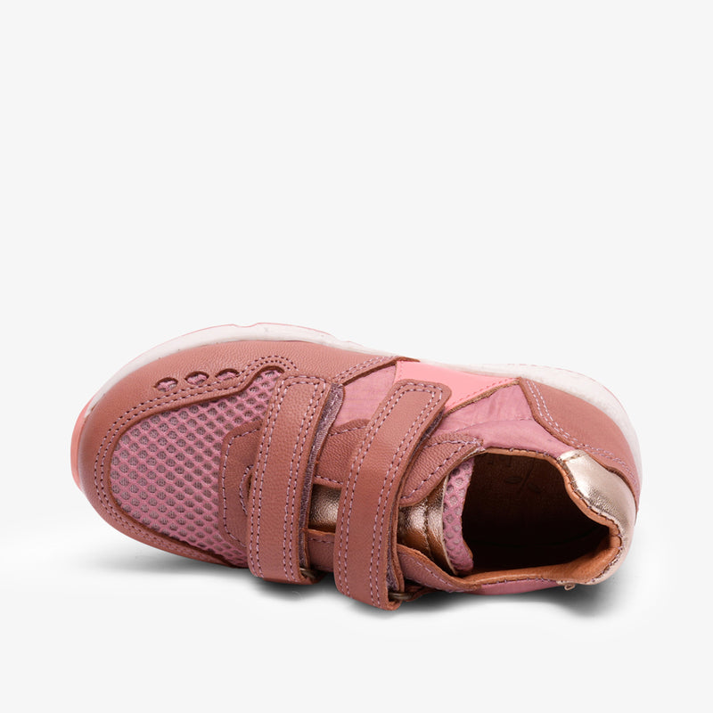 karla old rose - Rose