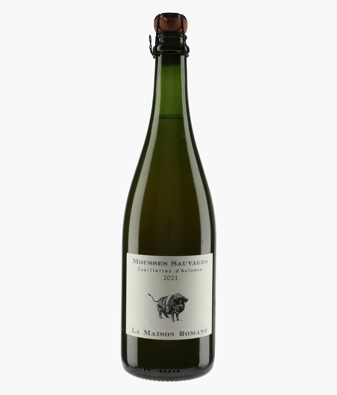 Mousses Sauvages Cueillettes d'Automne 2021MAISON ROMANE
