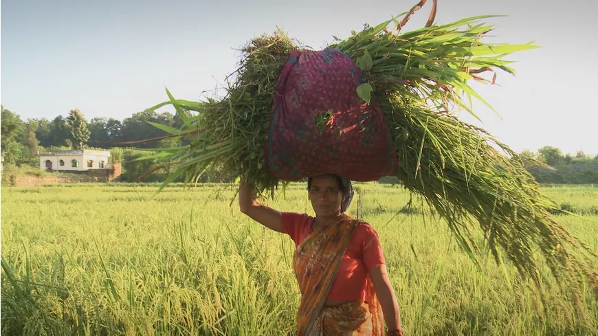 Vandana Shiva - Ein Leben für die Erde
