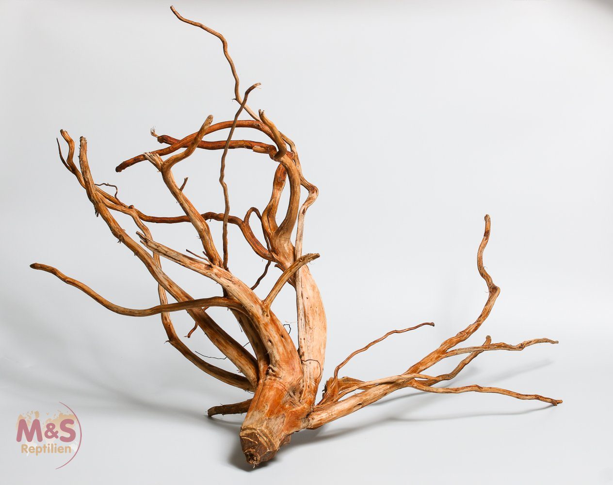 M&S Reptilien Terrarium ''Lagune''Driftwood (Treibholz) ''Hibiscus tiliaceus'' 40-60 cm (smal
