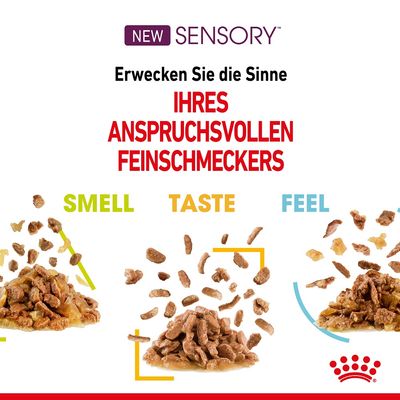 Royal Canin Sensory Taste in Soße