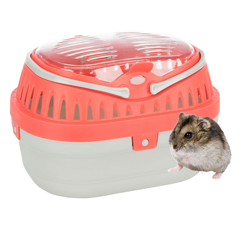 Trixie Transportbox Pico für Kleintiere zu TOP-Preisen | bitiba %