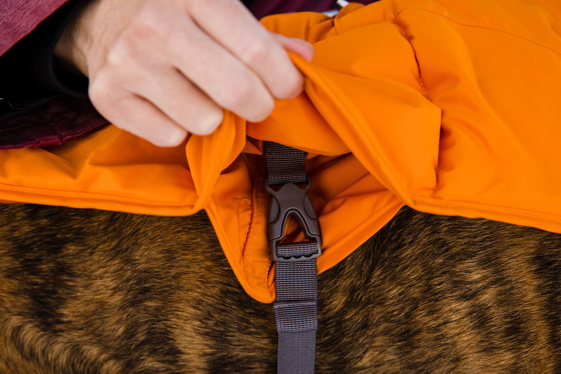 Ruffwear Hundemäntel Ruffwear Quinzee™ Hundejacke orange L