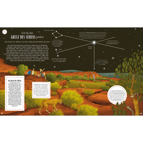 DIE VERBORGENEN ZEICHEN DER NATUR - Kinderbuch