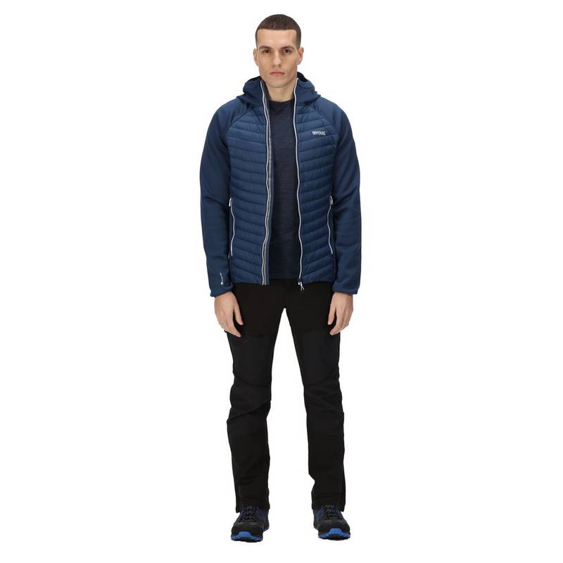 Regatta Andreson VIII Funktionsjacke Herren