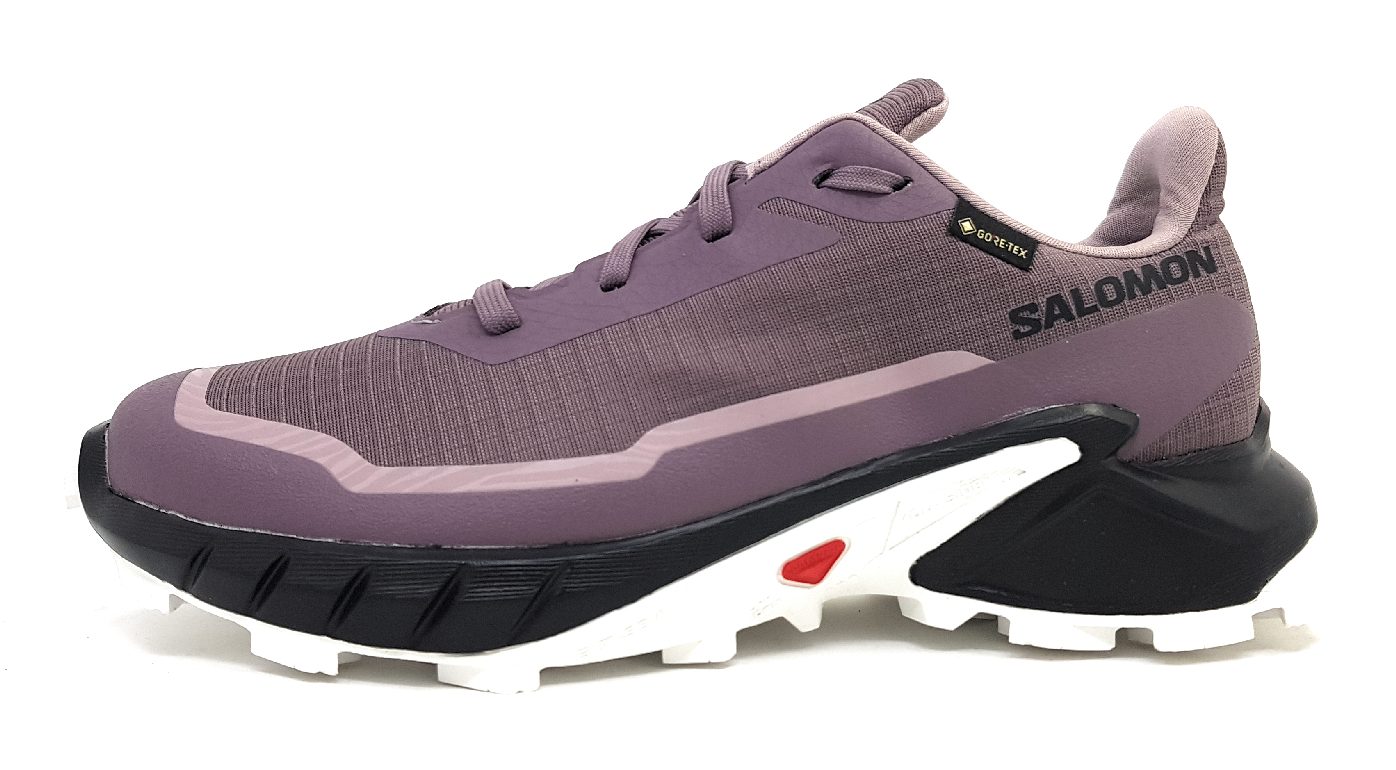 Salomon Alphacross 5 GTX W L47311000 Mehrfarbig MNSCAP/Black
