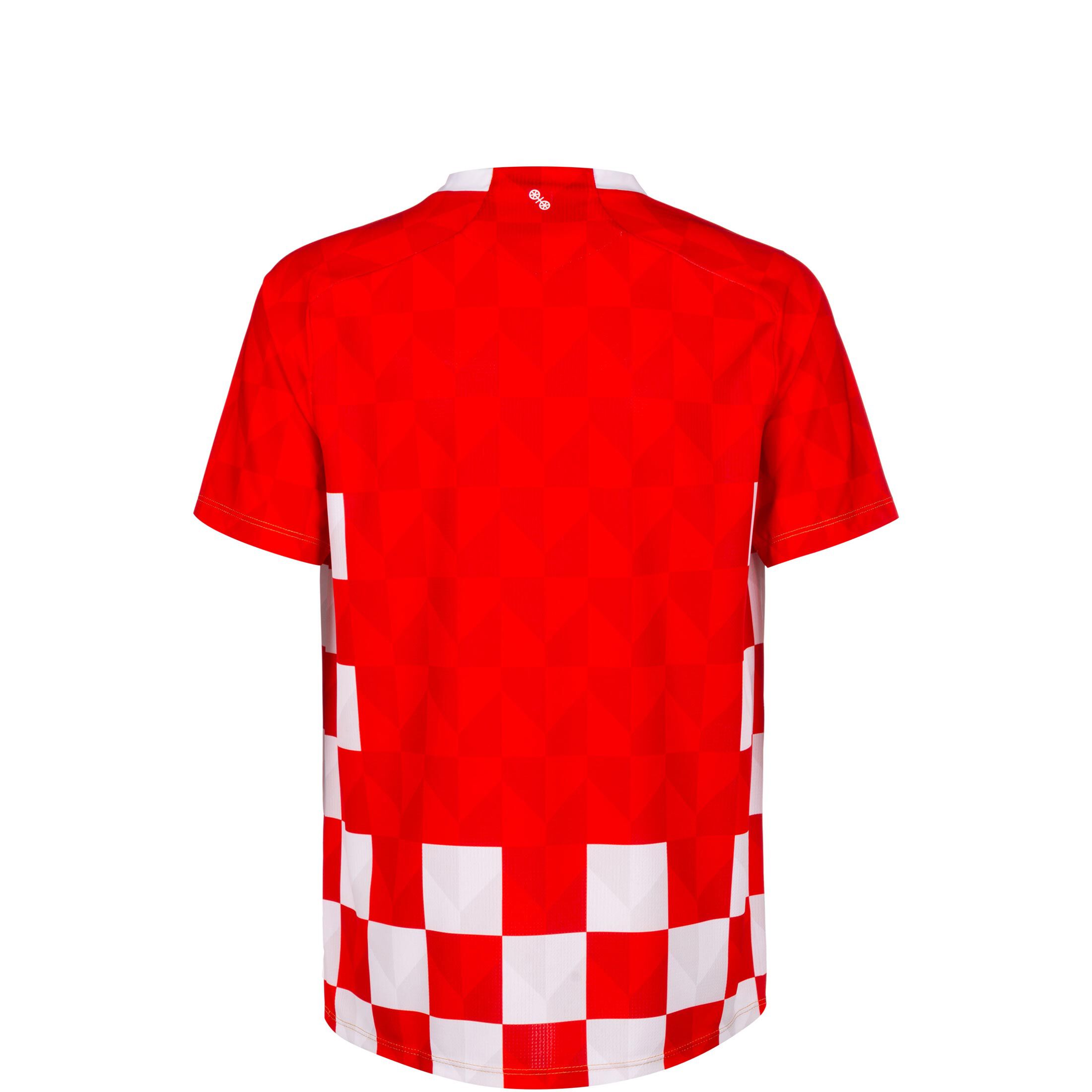 Performance Shirt '1. FSV Mainz 05'