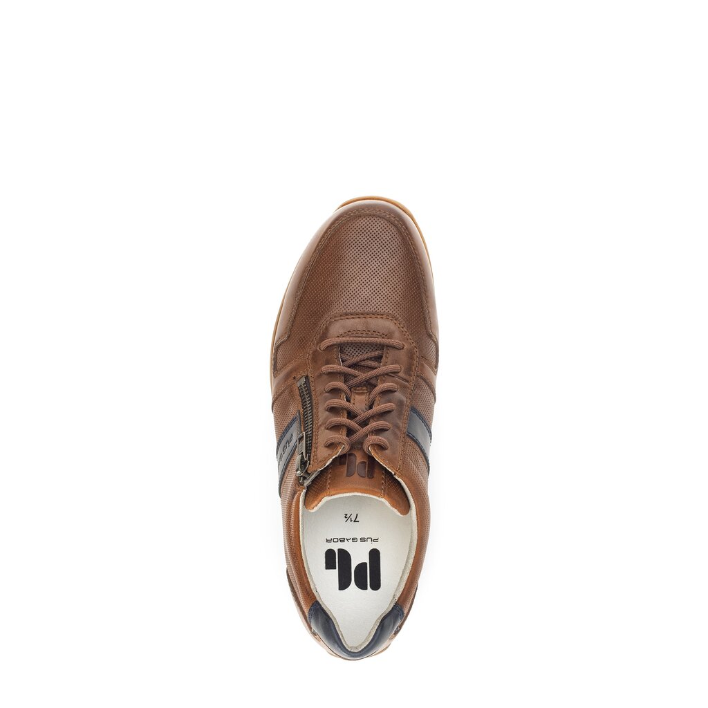 Pius Gabor PG1137 Sneaker low braun