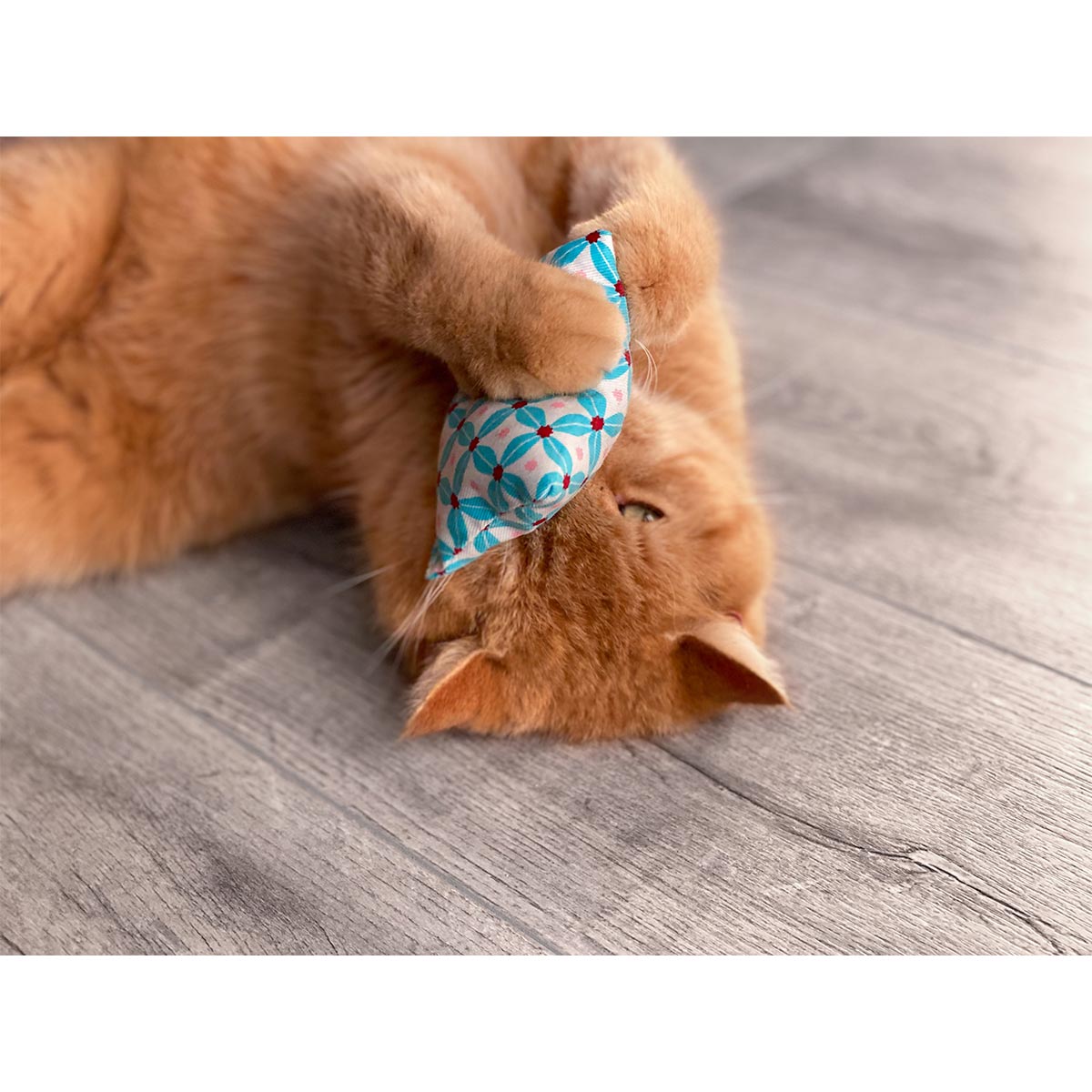 Aumüller Katzenspielkissen Minzini günstig kaufen