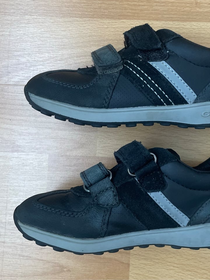 Geox Sneakers 