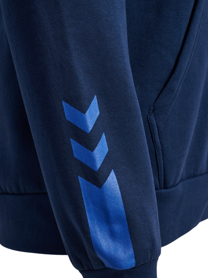 Hummel Hummel Kapuzenpullover Hmlactive Multisport Herren in DRESS BLUES günstig kaufen