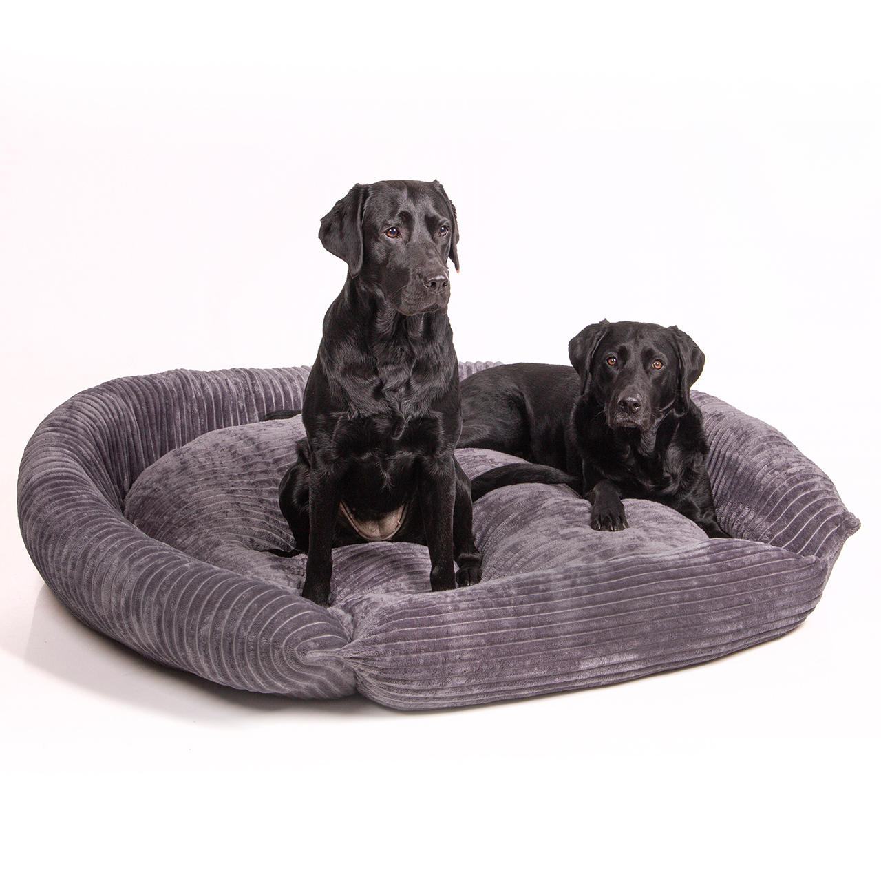 Wallace & Jones Hundebetten Wallace & Jones Hundebett Cordo dunkelgrau L