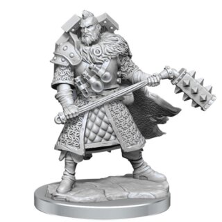 D&D Frameworks: Human Fighter Male
