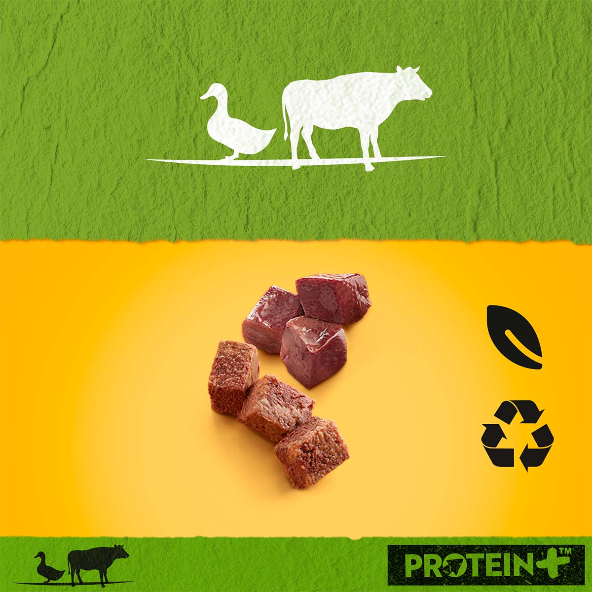 PEDIGREE Protein+ Pastete Ente & Rind günstig kaufen bei ZooRoyal