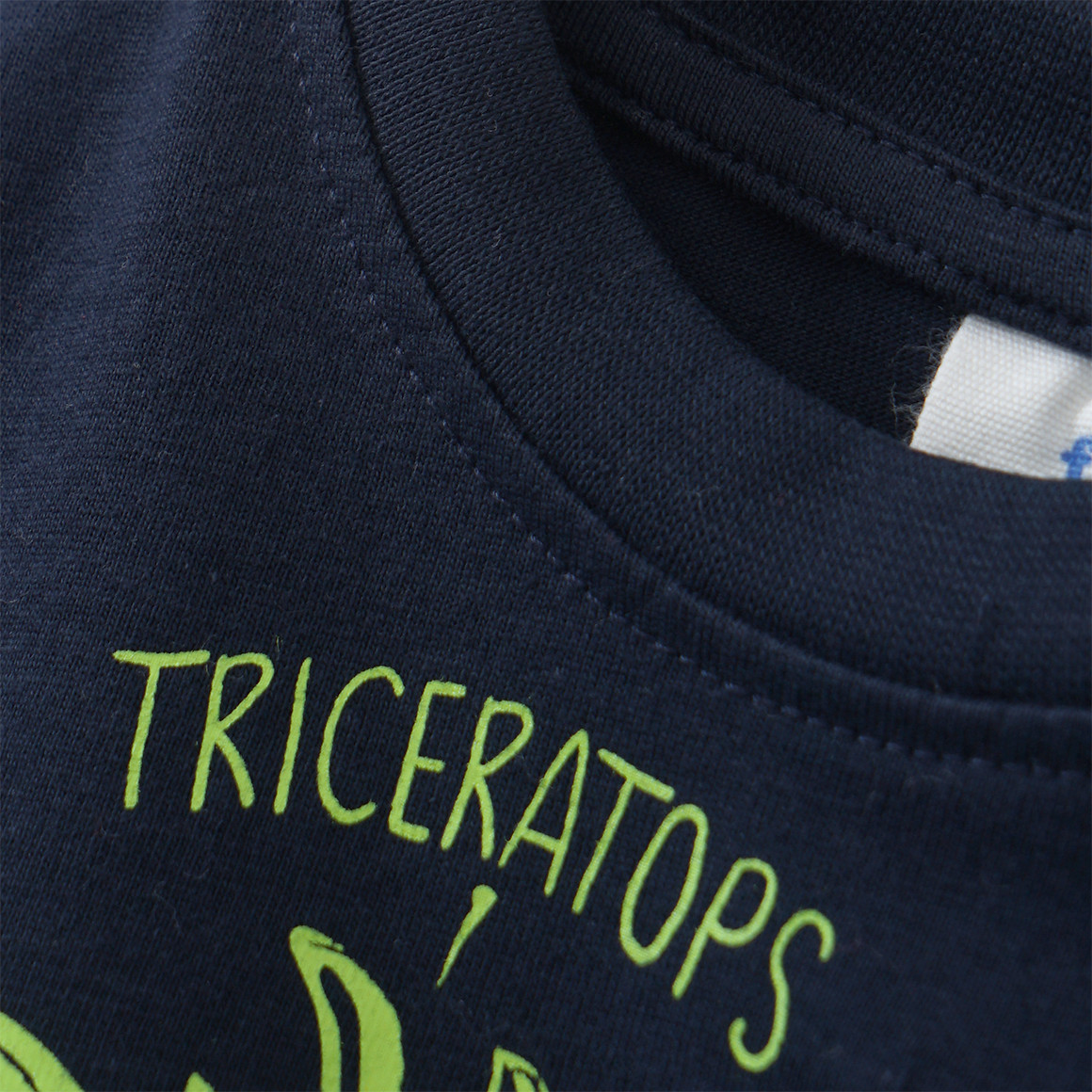Baby Langarmshirt mit Dino-Print