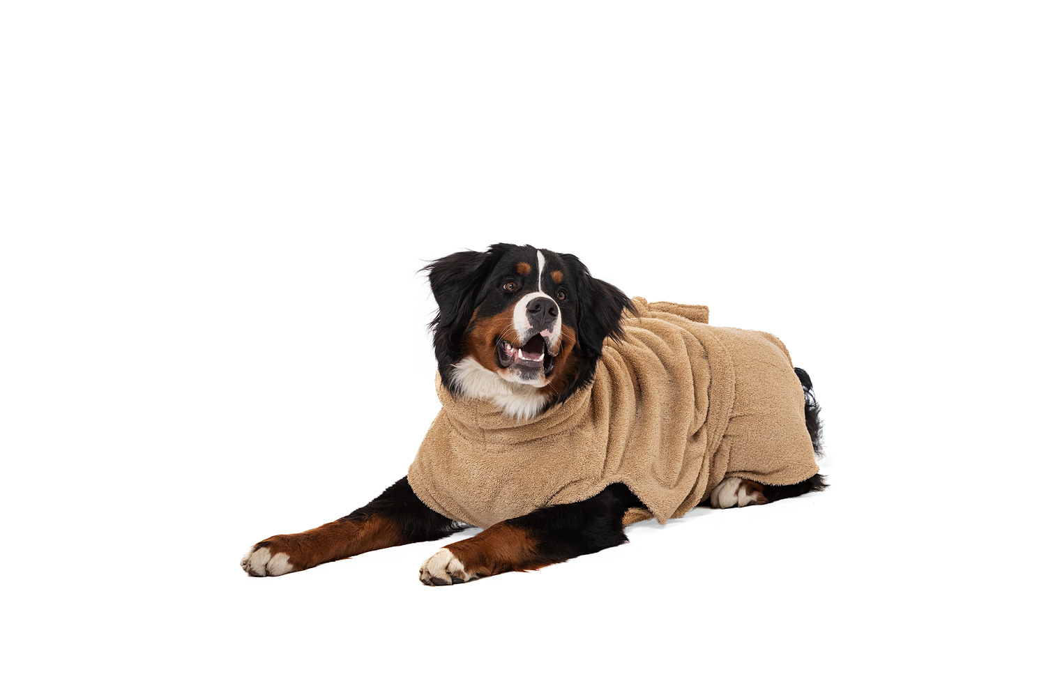 Lills Hundemäntel Lills Lill's Hundebademantel 