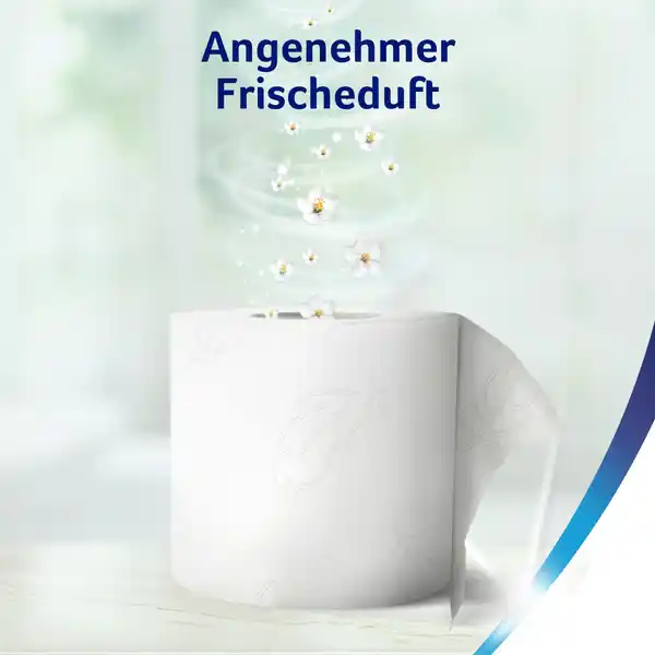 Toilettenpapier Bewährt Lufterfrischer