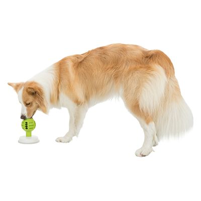 Trixie Lick'n'Snack Ball