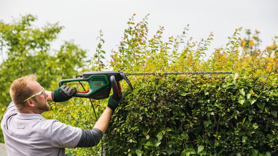 Bosch Green 06008C0801 AdvancedHedgeCut 65 škare za živicu