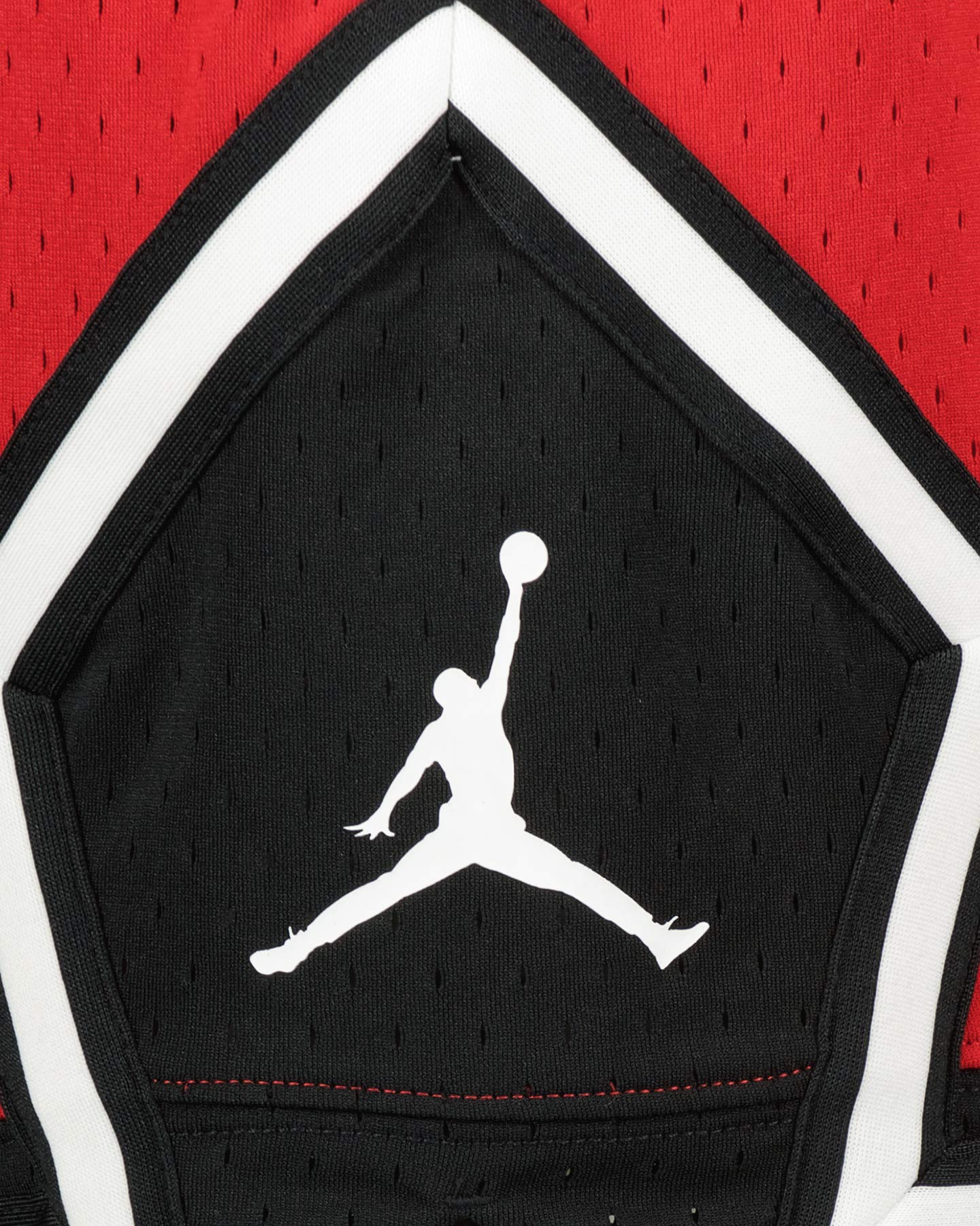 Pánske nohavice Nike Jordan Sport M DX1487-687